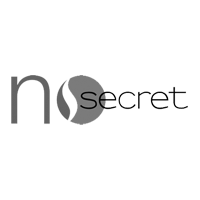 NO SECRET logo