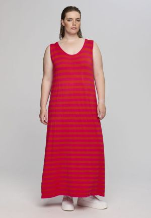 SDOLLY ROZE