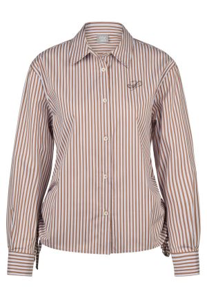  7685 COGNAC