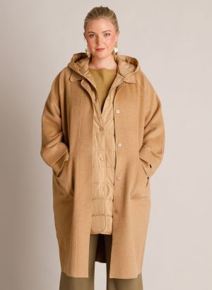  9005 Camel