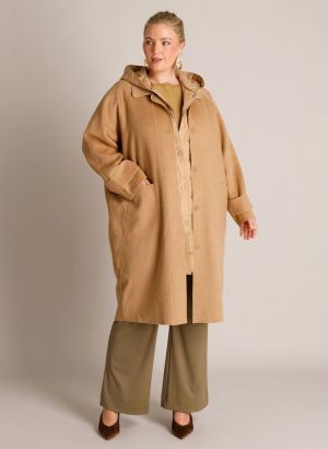  9005 Camel