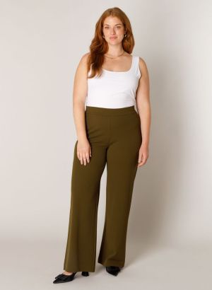  14001 Olive